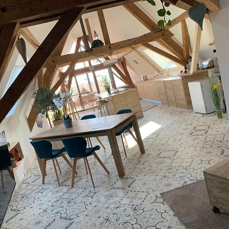 Appartement Nid De Cigogne à Illhaeusern Extérieur photo