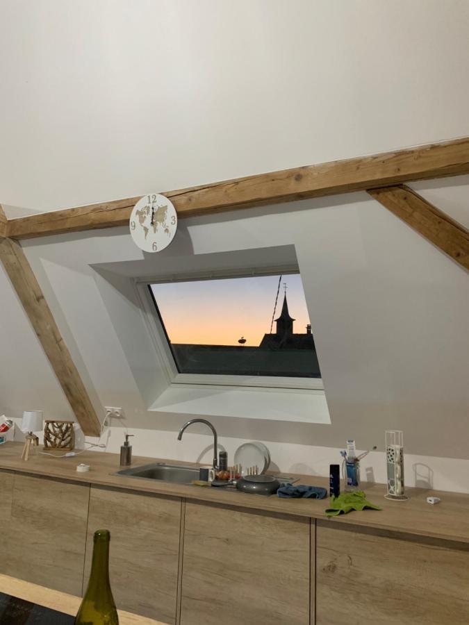 Appartement Nid De Cigogne à Illhaeusern Extérieur photo