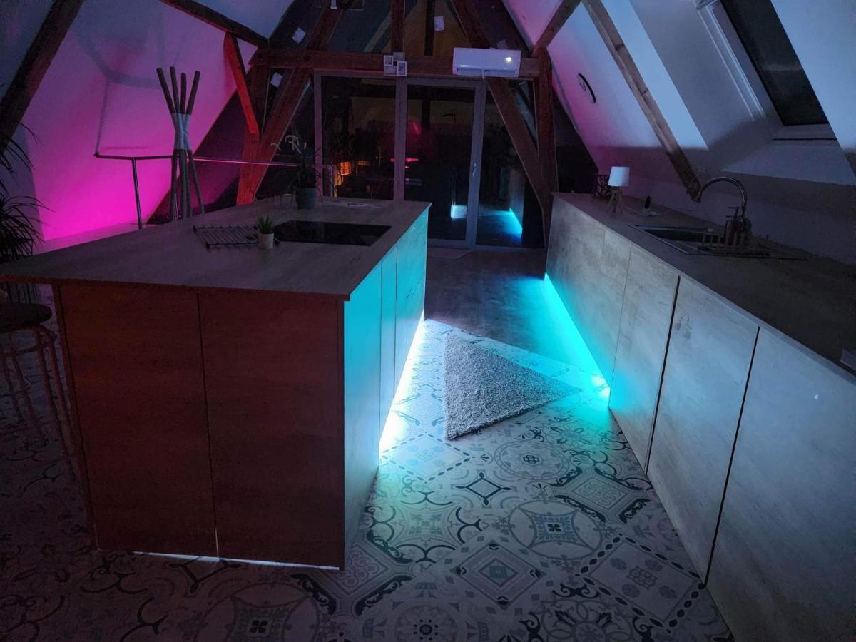 Appartement Nid De Cigogne à Illhaeusern Extérieur photo