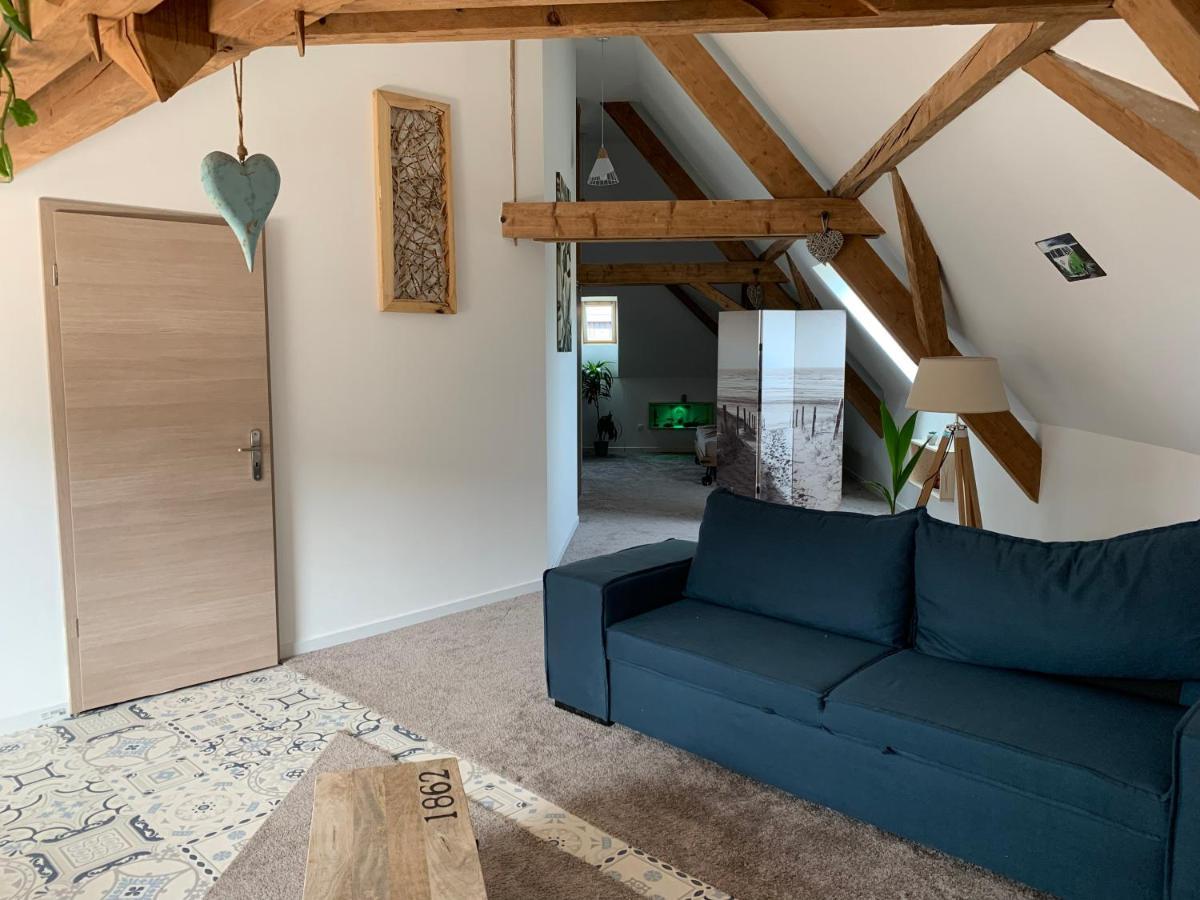 Appartement Nid De Cigogne à Illhaeusern Extérieur photo